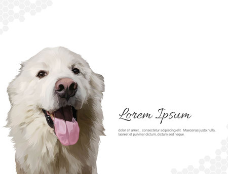 Vector Dog Breed Maremmano Maremma Sheepdog wall decor ideas. realistic drawing animal. Hand drawn...