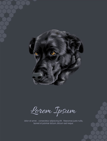 Dog Labrador Retriever Vector wall decoration ideas. realistic animal images. Hand drawn dog isolated on light black background. for room decoration, events, etcのイラスト素材