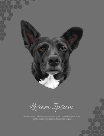 Vector Dog Breed Croatian sheepdog 2 wall decor ideas. realistic animal images. Hand drawn dog isolated. for room decoration, events, etcのイラスト素材