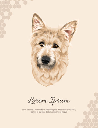 Vector Dog Breed Berger Picard wall decor ideas. realistic animal images. Hand drawn dog isolated. for room decoration, events, etcのイラスト素材
