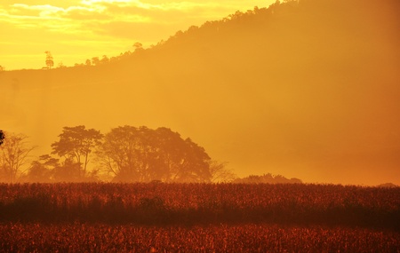 landscape of thailandの写真素材