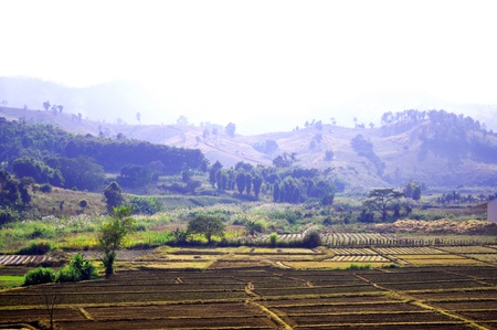 At chiangrai thailandの写真素材