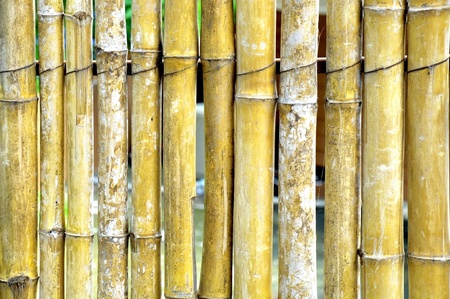 a simply wall made from bamboos の写真素材