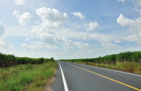 macadamized road,country road,countryside scence