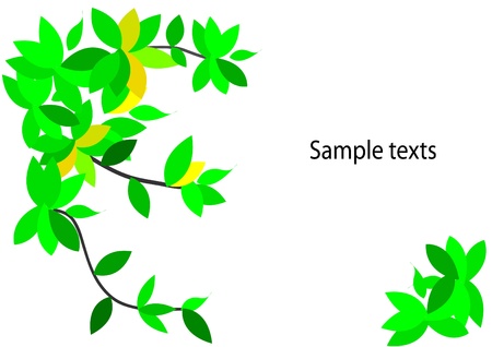 branch of  leaves on white background,leaves pattern on backgroundのイラスト素材