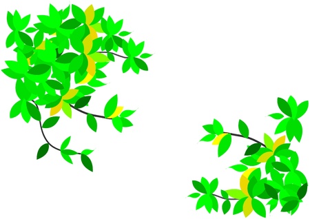 branch of  leaves on white background,leaves pattern on backgroundのイラスト素材