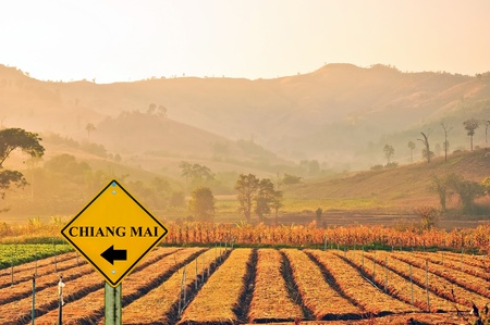 sign road and vegetable garden with mountain background at Vieng Pa Pao district ,Chiang Raiの写真素材