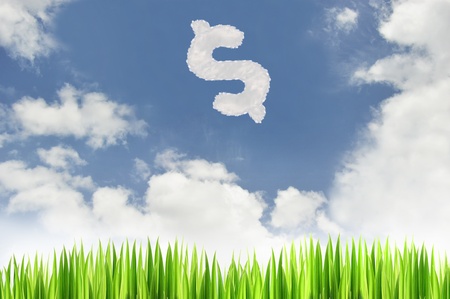 green grass with dollar cloud  on blue sky background,text box,idea box の写真素材
