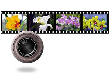 Flower and len photo with film strip isolated on white backgroundの写真素材