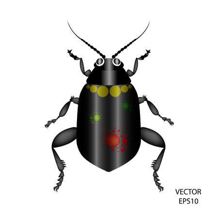insect design,insect icons,vectorのイラスト素材