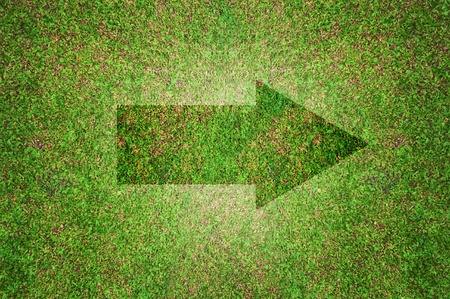 grass texture,grass background,sign on grass backgroundの写真素材
