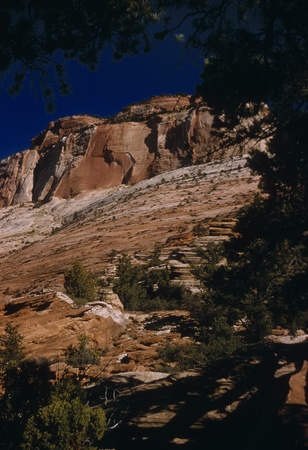 Three cliffs Zion National Park in a low angle shotの写真素材
