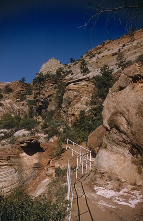Landscape image of Cathedral Mountain Zion National Parkの写真素材