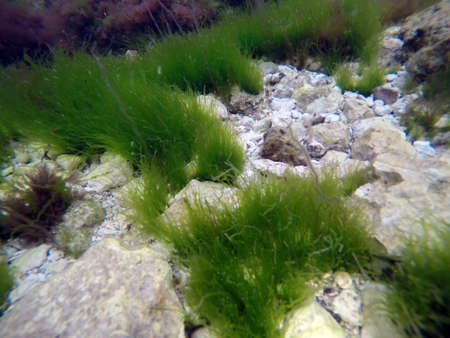 deep water