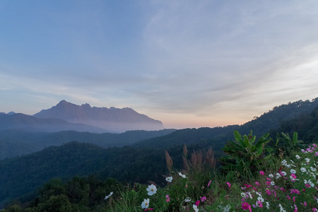 mountainの写真素材