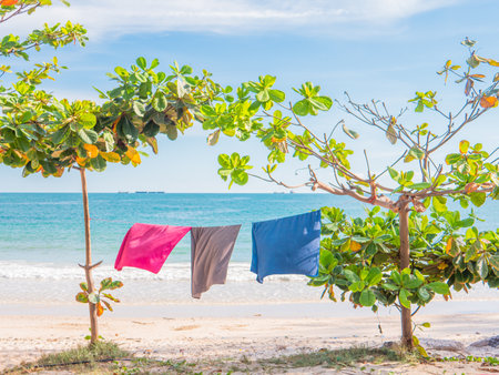 fabric is dry on the rope behind the beach.の写真素材