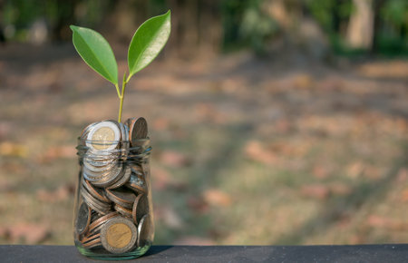 plant growing out of coins in a glass jar with filter effect retro vintage styleの写真素材