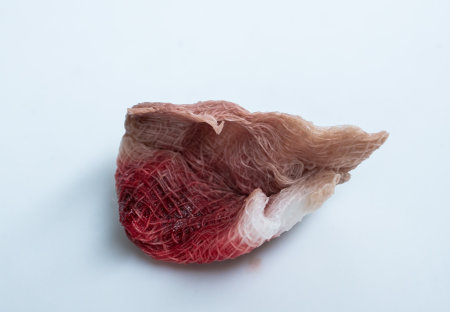 Raw beef meat on a white background, close-up, macro