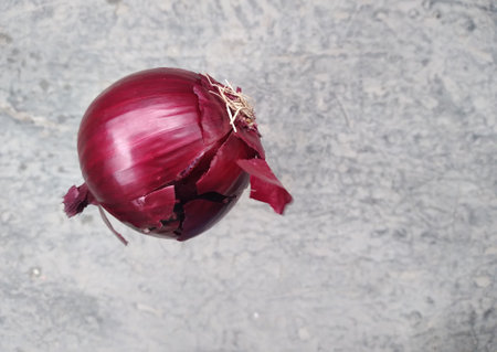Red onion flies downの写真素材