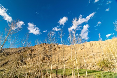 Fields in Dhankar Village - Spiti Valley, Himachal Pradeshの写真素材