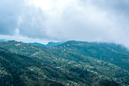 Stepping Farms in Uttrakhand