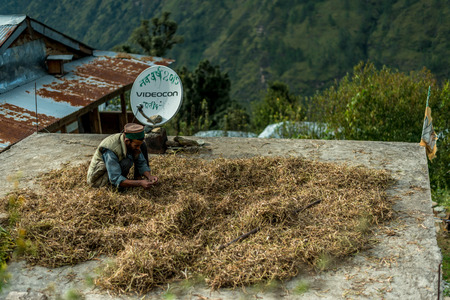 Sankri Range, Uttrakhand, India - October 7, 2018 : A Portrait of Working Man in Himalayas