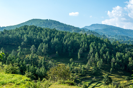 Stepping Fields in Bageswar - Himalayaの写真素材