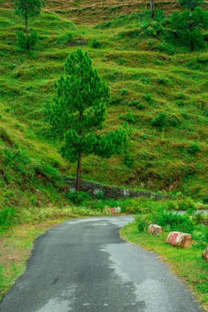 View of an empty Roadの写真素材