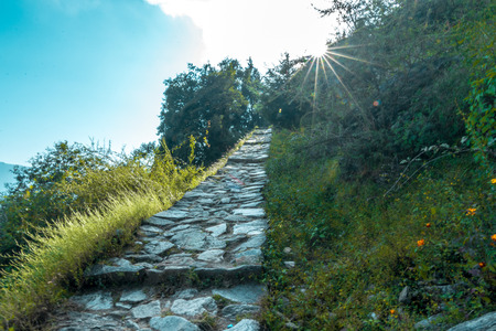 Devaria Tal Trek - Uttrakhand