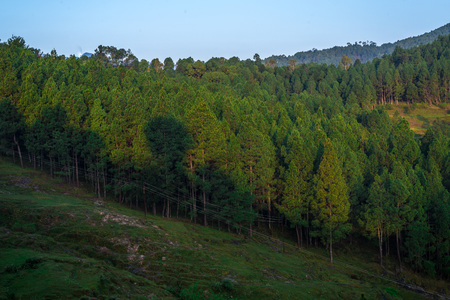 Sunrise in Bageswar, Uttrakhand, Indiaの写真素材