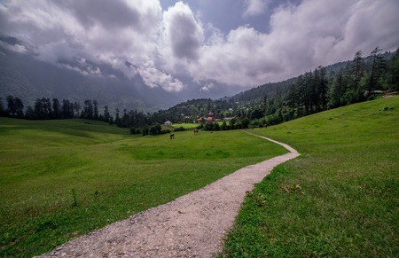 Green meadows in himalayas, Great Himalayan National Park, Sainj Valley, Himachal Pradesh, Indiaの写真素材