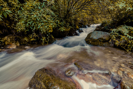 Water Streaming in himalayas - sainj, kullu, himachal, Indiaの写真素材
