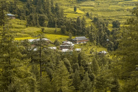 Photo of Beautiful Village Surrounded by Deodar Tree in Himalayas, Great Himalayan National Park, Sainj Valley, Himachal Pradesh, Indiaの写真素材