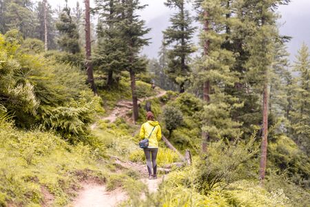 Kullu, Himachal Pradesh, India - August 31, 2018 : traveler in the forest looks for the trek. Beautiful young woman is traveling and camping in the forest in himalayasのeditorial素材
