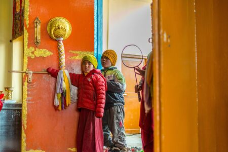 Spiti, Himachal Pradesh, India - March 24, 2019 : Photo of Kid lama in himalayasのeditorial素材