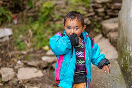 Kullu, Himachal Pradesh, India - April 01, 2019 : Portrait of Himalayan boy, Kid in himalayas in indiaのeditorial素材