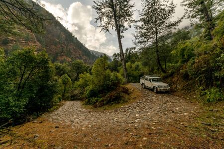 Kullu, Himachal Pradesh, India - February 01, 2019 : Vehicle on High altitude road in Himalayas surrounded by deodar tree - Indiaのeditorial素材