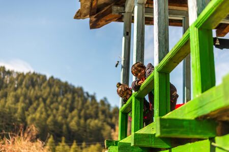 Kullu, Himachal Pradesh, India - Feburuary 08, 2019 : Photo of himalayan kid in mountain, sainj valleyのeditorial素材