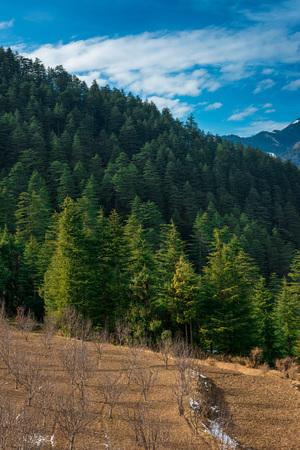 Photo of Field in Himalayas - Farming in mountains - Indiaの写真素材