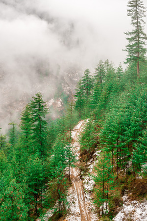 Snow covered road in himalayas - Beautifull Curvy road in mountainsの写真素材
