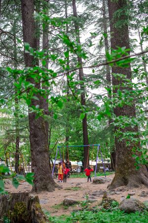 Manali, Himachal Pradesh, India - May 07, 2019 : Photo of Tourist enjoying in van vihar national park in himalayasのeditorial素材