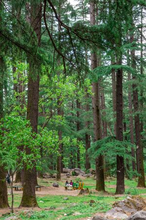 Manali, Himachal Pradesh, India - May 07, 2019 : Photo of Tourist enjoying in van vihar national park in himalayasのeditorial素材