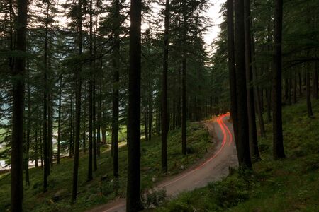 Curving light trails through a wooded road in himalayasの写真素材