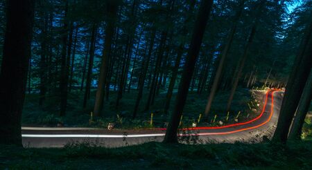 Curving light trails through a wooded road in himalayasの写真素材