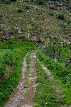 Beautiful Local Path Surrounded by Nature in Himalayas -の写真素材
