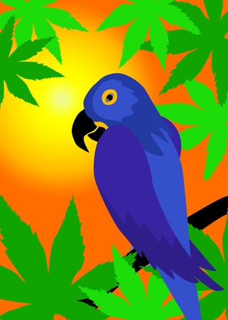 Picture of blue parrot seating on a branch, sunset in backgroundの写真素材