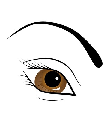 picture of female brown eyeのイラスト素材