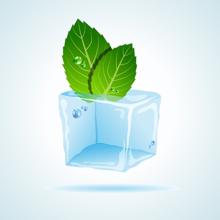 picture with ice and mint leafのイラスト素材