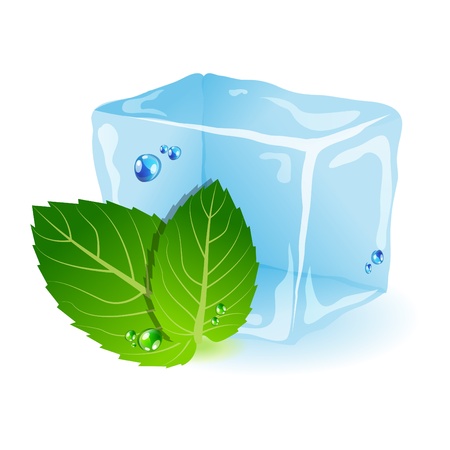 ice and mint leafのイラスト素材