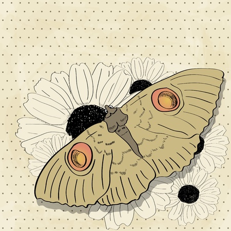 Picture with butterfly and flowersのイラスト素材